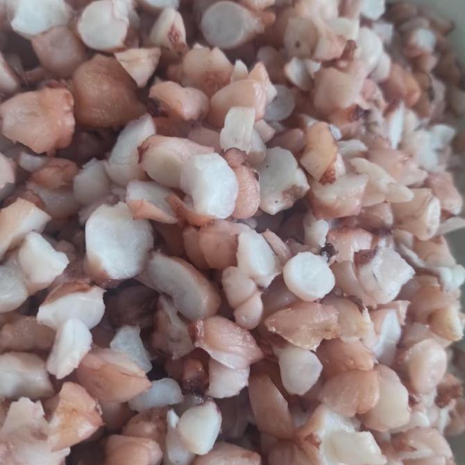 

Gurita Daging Potongan Kecil 1Kg Ready Stok