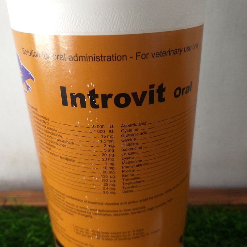introvit Oral 1 liter Multivitamin dan asam amino kambing, sapi, Ayam