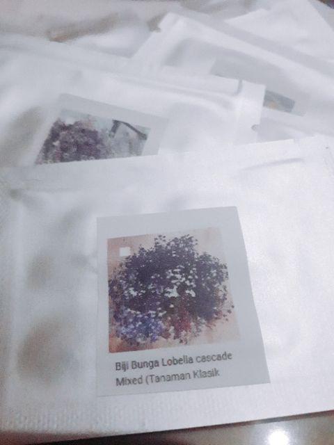 Biji Benih Bunga Lobelia Cascade Mixed  (tanaman Klasik Untuk Keranjang)