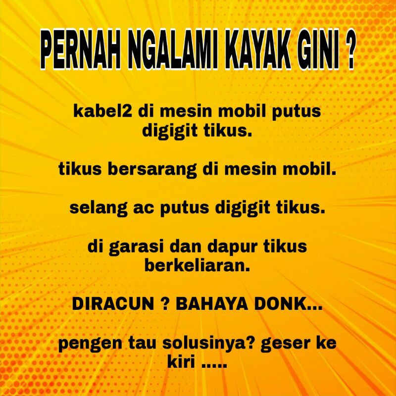 anti tikus/pengusir tikus kap mesin mobil