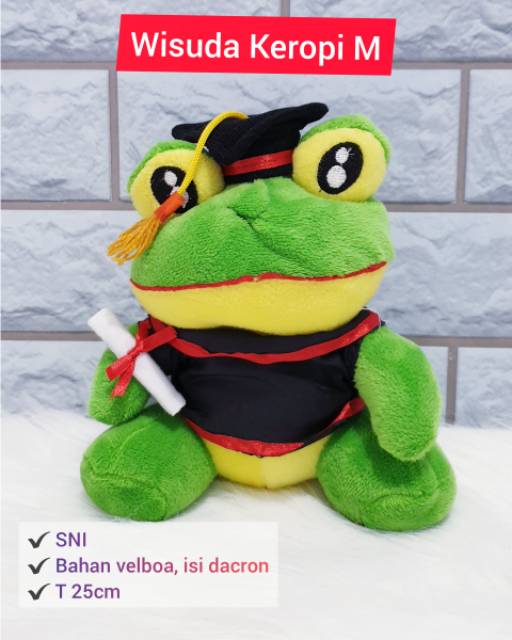 Boneka Wisuda Karakter SNI