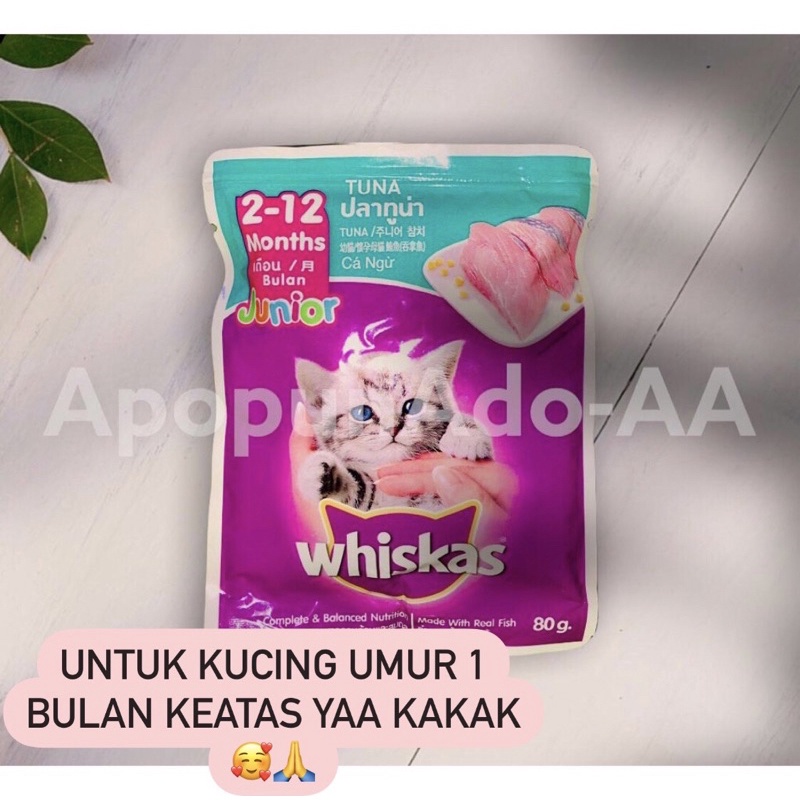 Jual Whiskas Pouch Tuna kitten=anakanak Kadaluarsa 2024 Shopee Indonesia