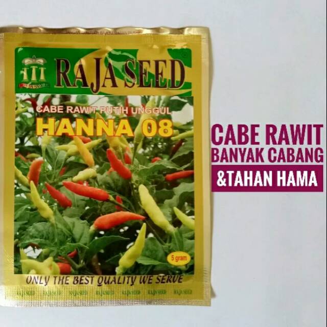 Benih Cabe rawit unggul F1 type tegak