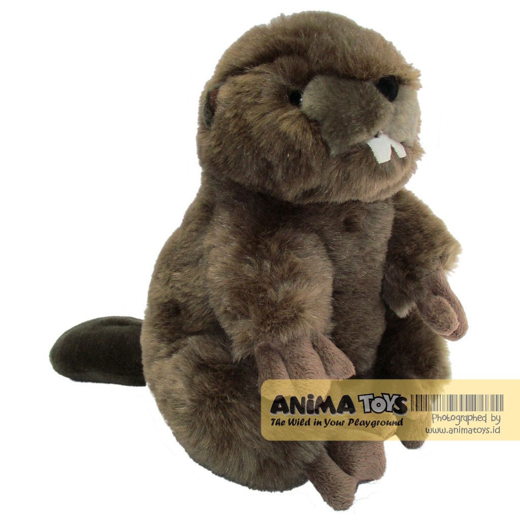Boneka Hewan Berang Berang Beaver Animatoys Saq003 Shopee Indonesia