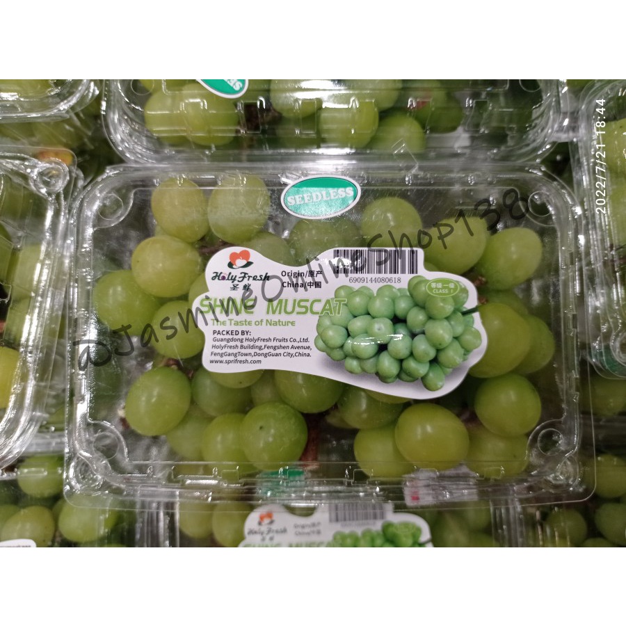 

SHINE MUSCAT RRC PER PACK 500GR - SEEDLESS