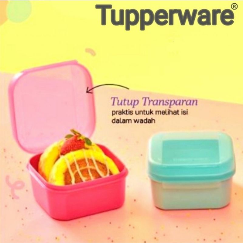 tupperware mini signature - kotak kue - kotak bekal - kotak serbgauna