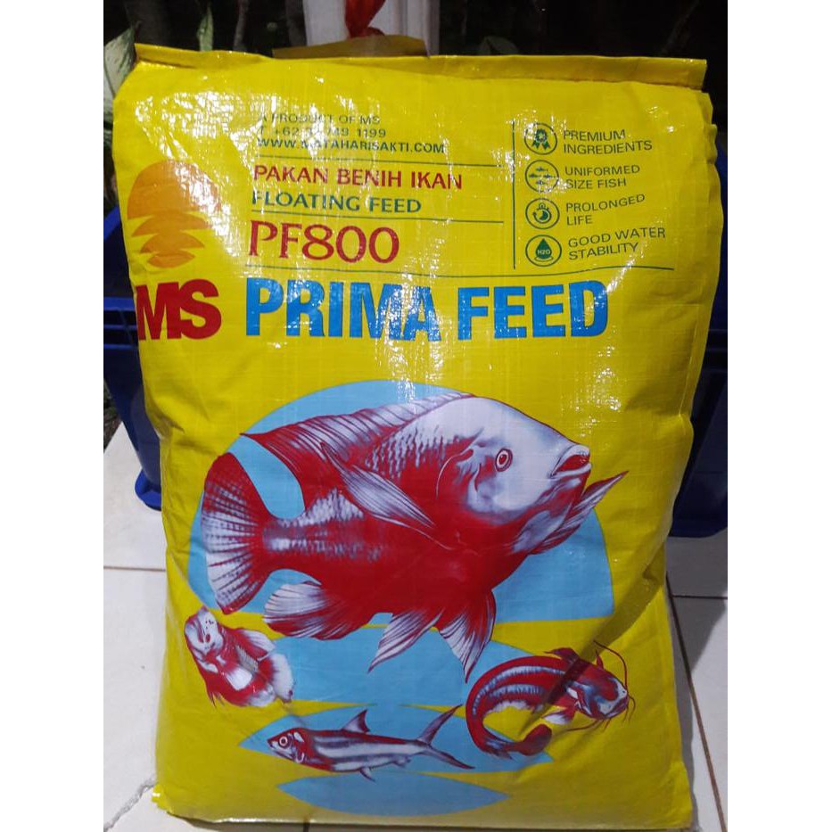Pakan Makanan Benih Bibit Ikan Lele Nila Gurame Pelet Pf 800 1 Kg