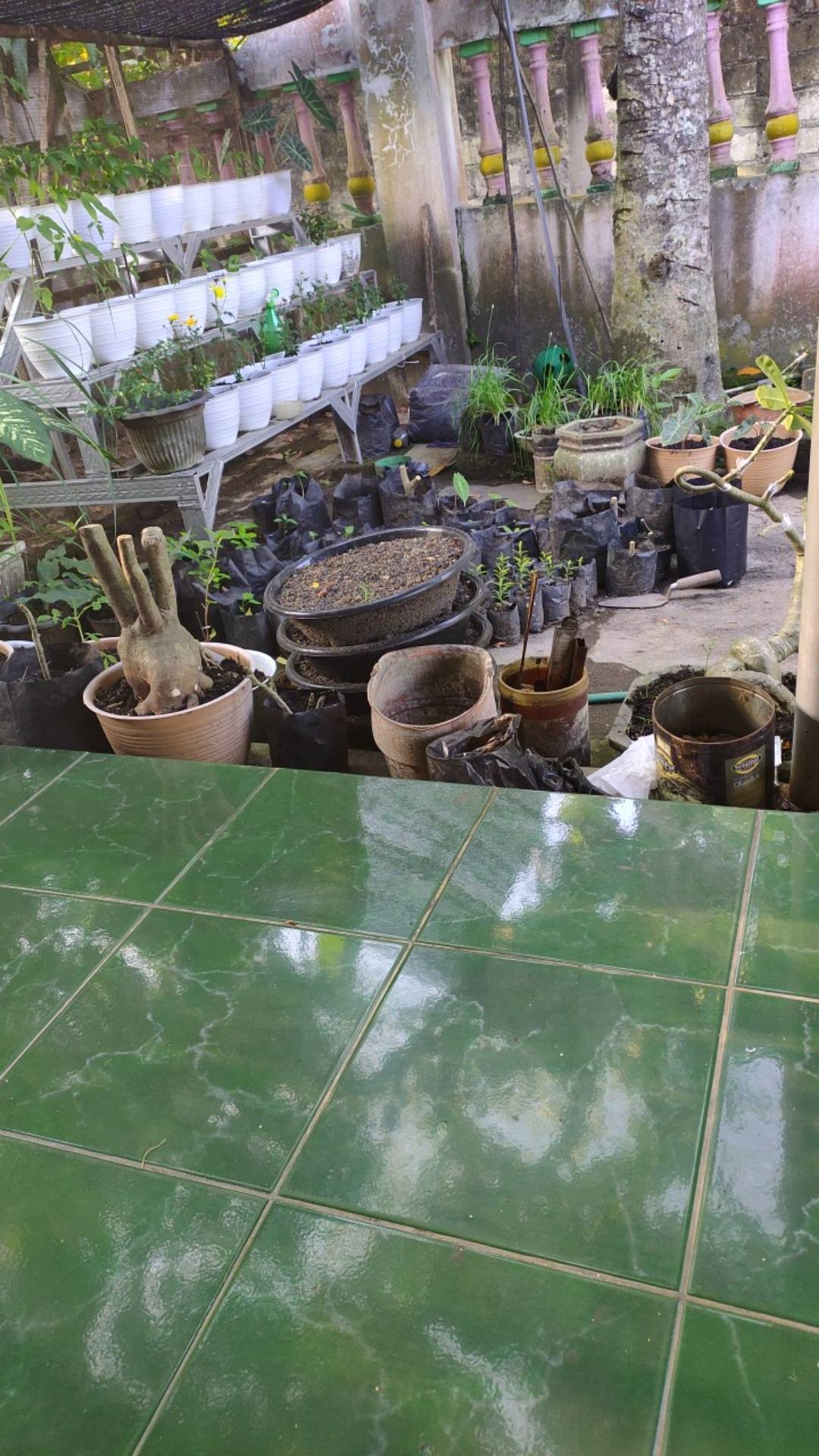 Knifezer Set Pisau Ukir Seni 13 In 1 Crafting Knife 3 Handle - A-003