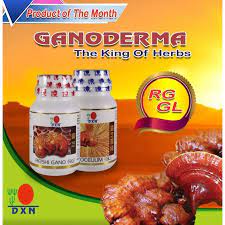 Daxen Ganoderma DXN RG GL 30 Kapsul ORIGINAL 100% AMPUH HALAL MUI DAN BPOM