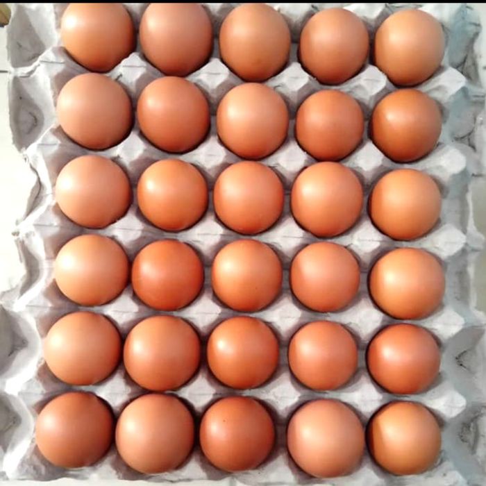 

telor/telur/ayam negri/isi 30 butir/telor pilihan super