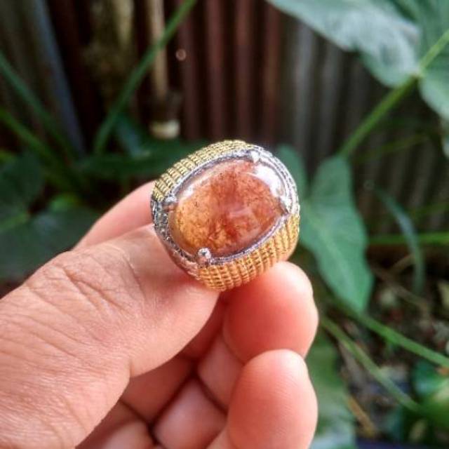 

LUMUT MERAH SULIKI