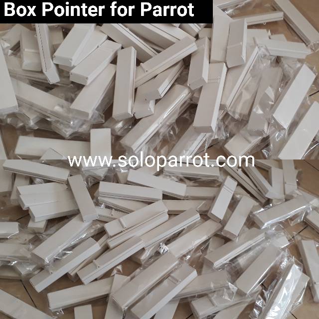 Pointer Burung Falk Parkit Lovebird Sun Conure Betet Nuri Afgrey