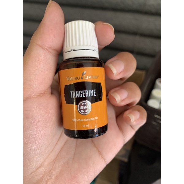 

tangerine yl