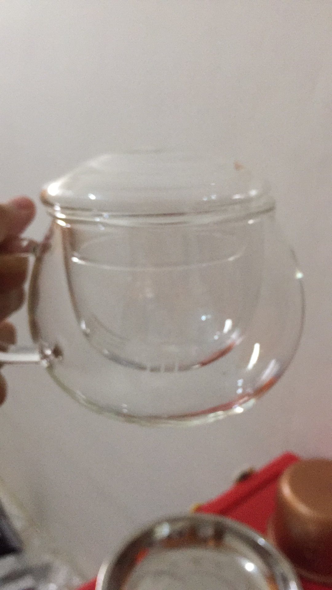 Gelas Cangkir Teh Saringan / Glass Infuser Tea Cup / Teko Teh Kaca 300 Ml