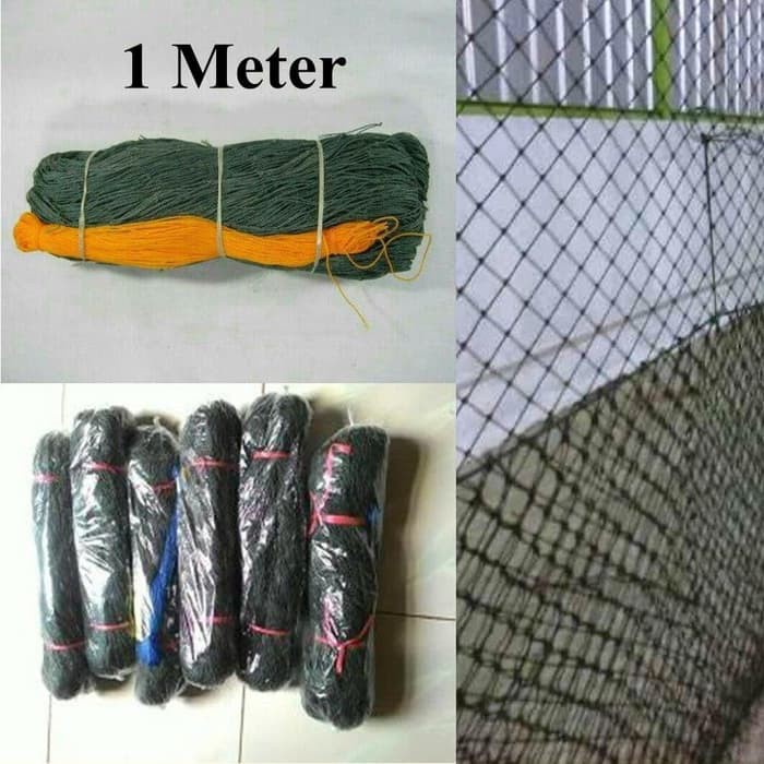 18+ Burung ayam sawah terbaru