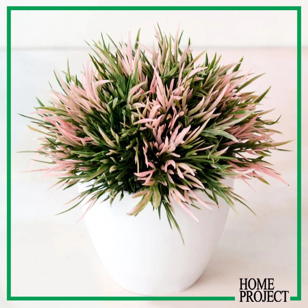 Artificial Flower Pohon Buatan Dekorasi Rumah Pot Bunga Plastik Cafe Restauran Motif Phoenix Gras