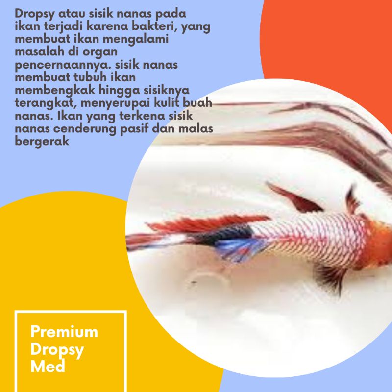 PREMIUM DROPSY MED obat sisik nanas dropsy ekor rontok mata berkabut ikan