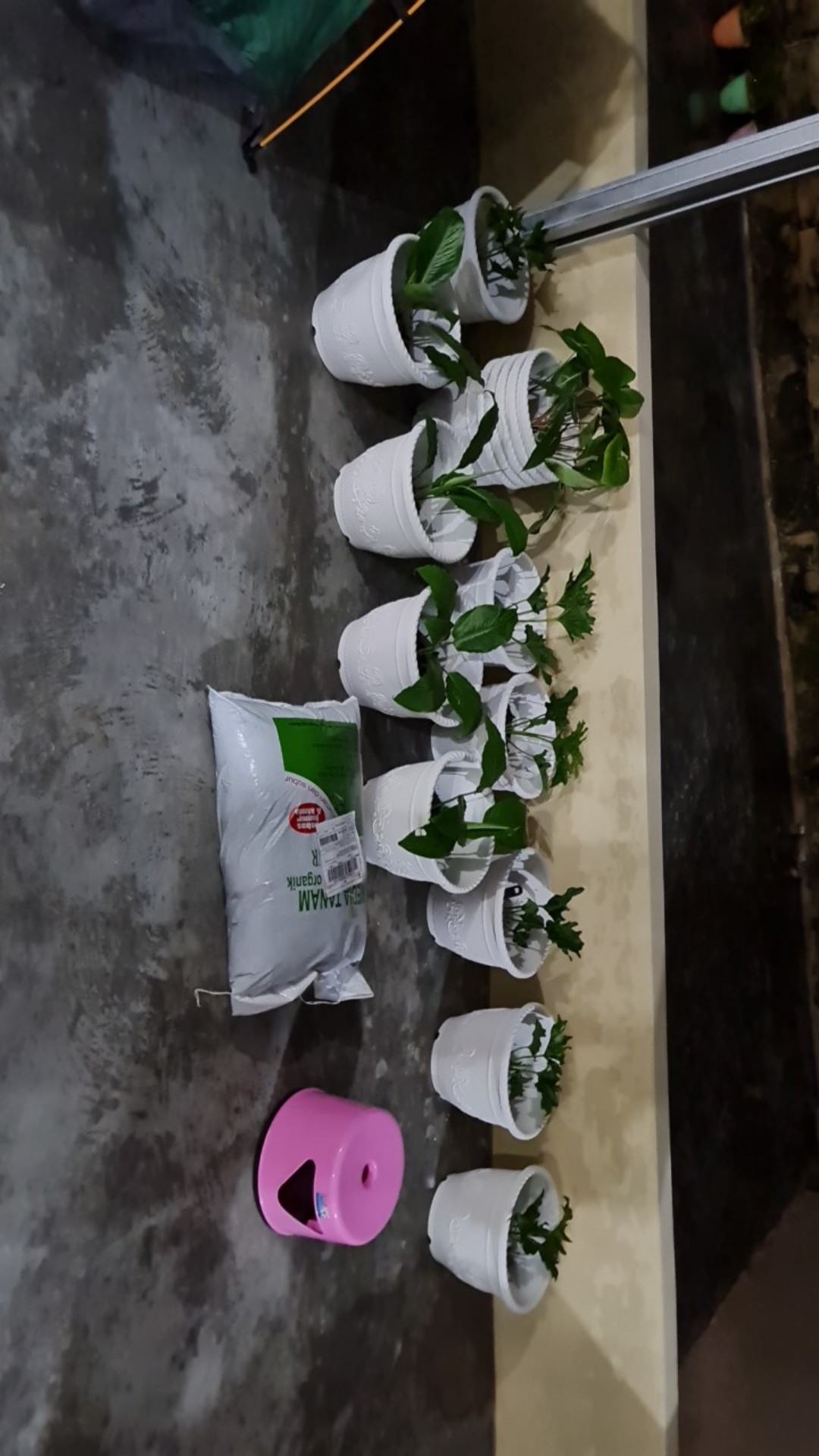 Pupuk Aneka Khusus Tanaman Daun 500 Gram - Mempercepat Pertumbuhan Daun