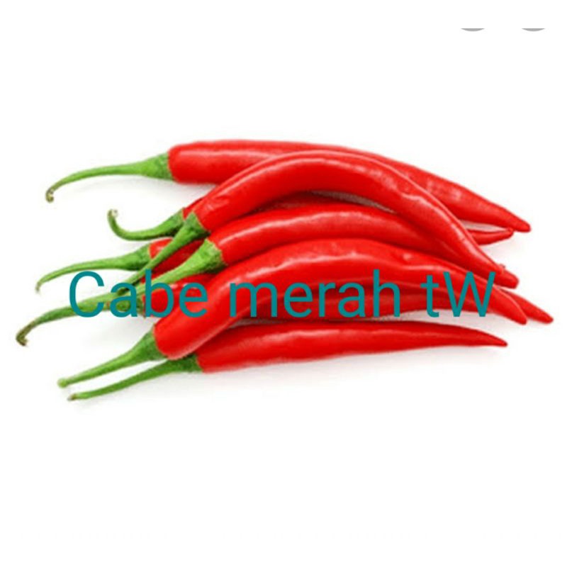 

Cabe merah besar, TW 250gr