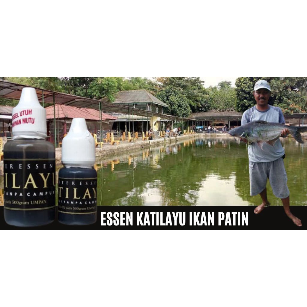 Master Essen katilayu Ikan Patin 10x Lebih Cepat Dalam Menaklukan Ikan