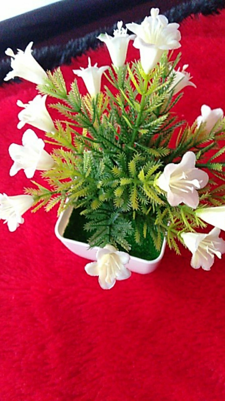 Maura Couple - Sania Ruffle Batik Couple