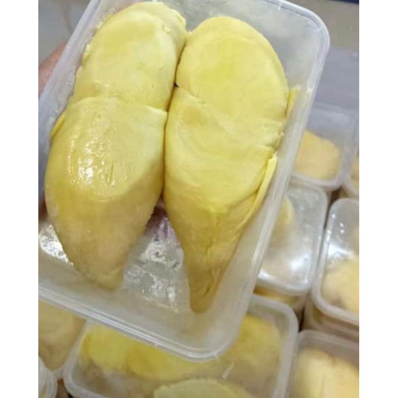

Durian Montong Palu