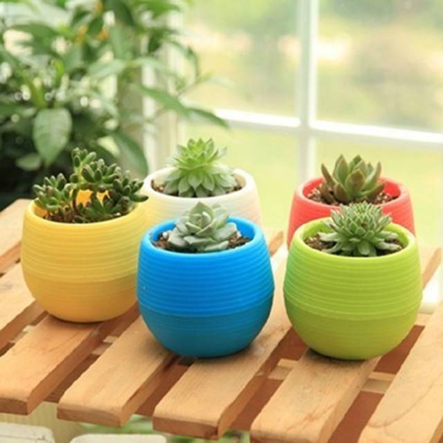 Pot Bunga Mini Hias Kaktus Tanaman - Multi-Color 5 PCS