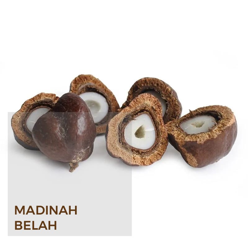 BUAH ZURIAT MADINAH MESIR 1 KG ZURIAT PROMIL BELAH DAN UTUH