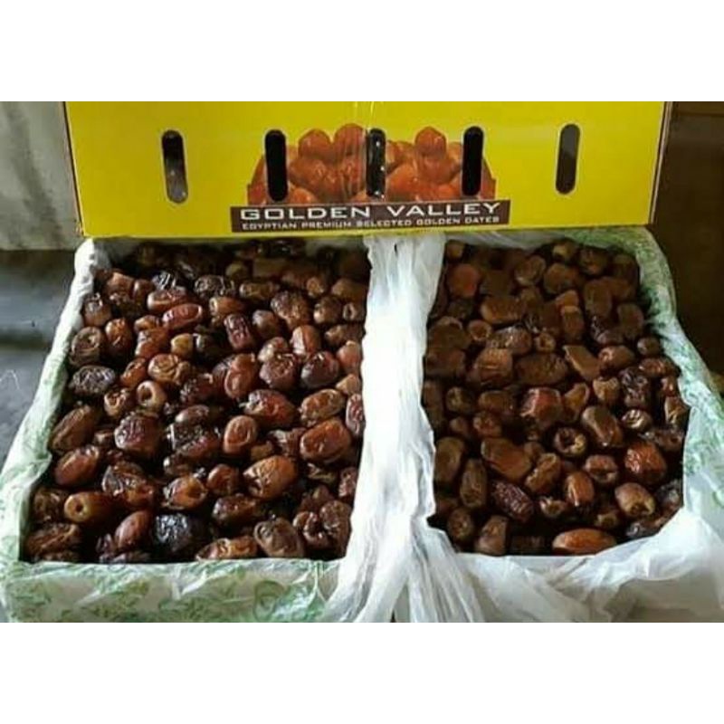 

Kurma golden valley
