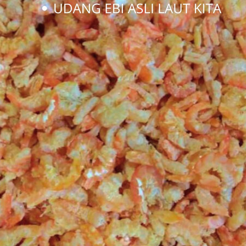 

UDANG EBI KERING SUPER ASLI PONTIANAK TIDAK TELALU ASIN 1KG UDANG SELALU BARU DAN SEGAR