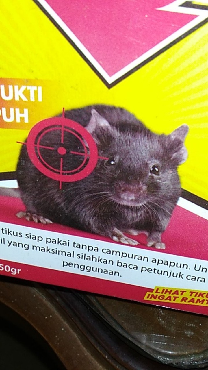 Ramtus Obat Racun Tikus Langsung Mati Kering Tidak Bau Sangat Ampuh Racun Pembasmi Tikus 4 Pack