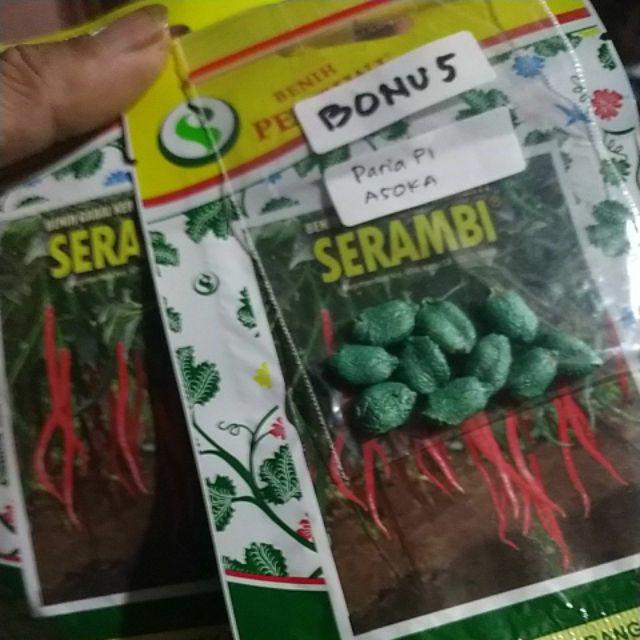 Diskon Benih Cabe Keriting Hibrida Serambi Barang Kualitas Terbaik