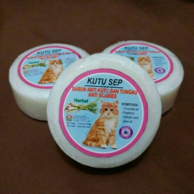 Sabun Anti Kutu Kucing Kutu Sep Original  Shopee Indonesia
