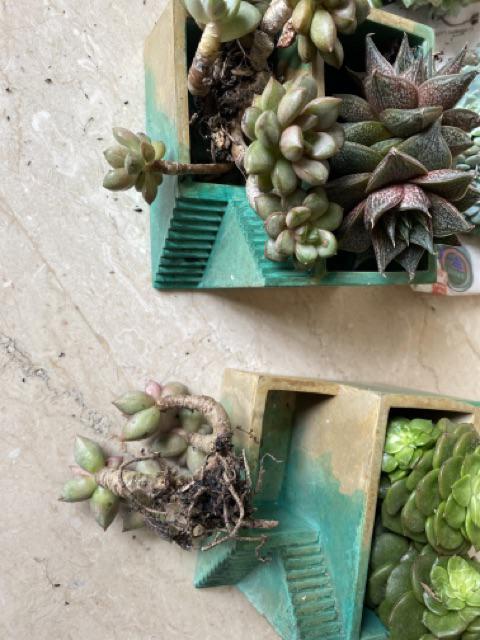 Pot Kaktus Sukulen Persegi Unik Bentuk Tangga