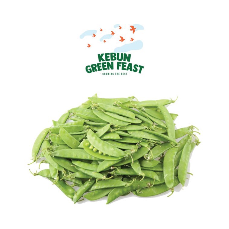 

Arcis / Kapri Sayur Segar ( 1 pack = 200gr )