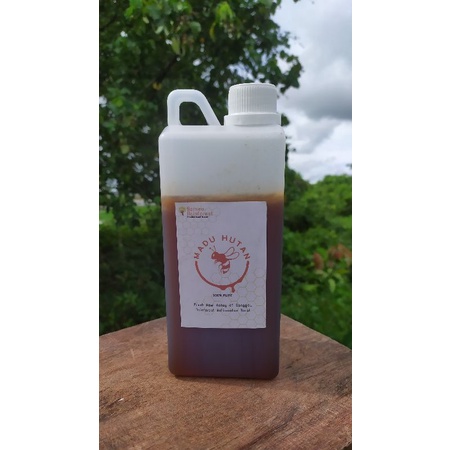 

Madu Hutan Akasia Sanggau Kalbar - Raw Wildforest Honey