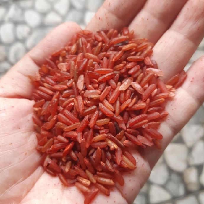

BERAS MERAH SOSOH 5 KG PULEN COCOK UNTUK DIET DAN MPASI