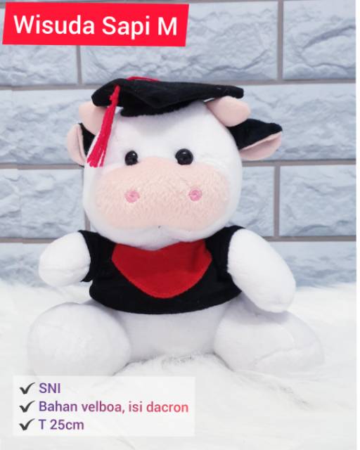 Boneka Wisuda Karakter SNI