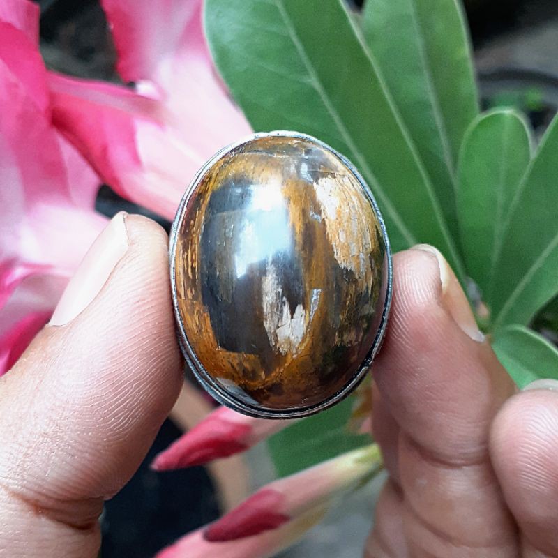 Fosil Kayu Motif Mumbul