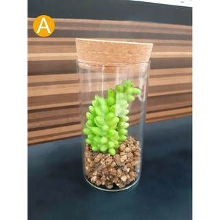 Set Bunga Sakura Vas Artificial Hiasan Cafe Rumah Bunga Set Bunga Sakura Vas Artificial Hiasan Cafe Rumah Bunga