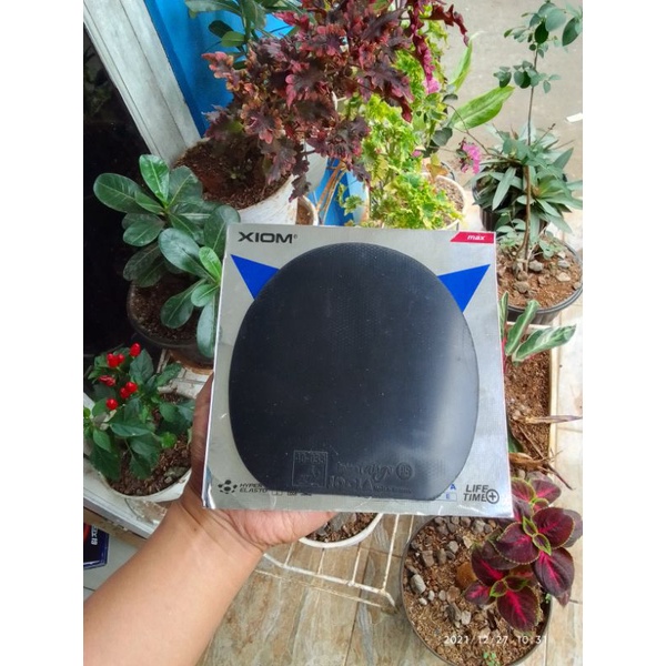 Joola golden tango ps