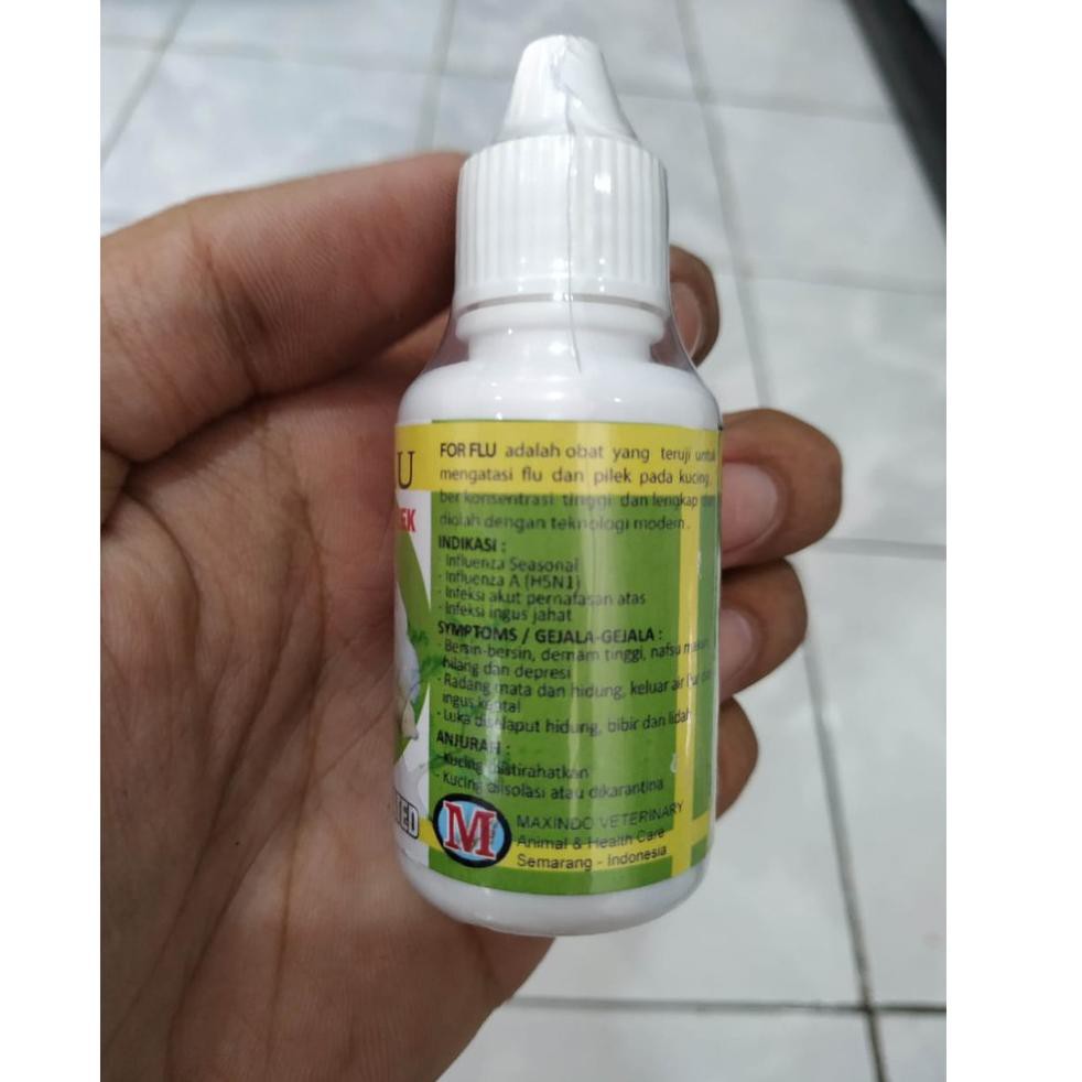 Kode 725 For Flu Obat Pilek Kucing Bersin Kucing Ingusan Kucing