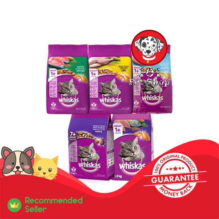 Makanan kucing whiskas adult senior 1.1kg &amp; 1.2kg all varian