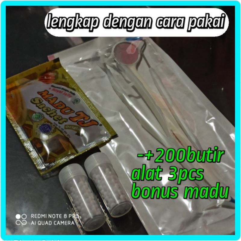 

TEMPTOOTH GIGI PALSU