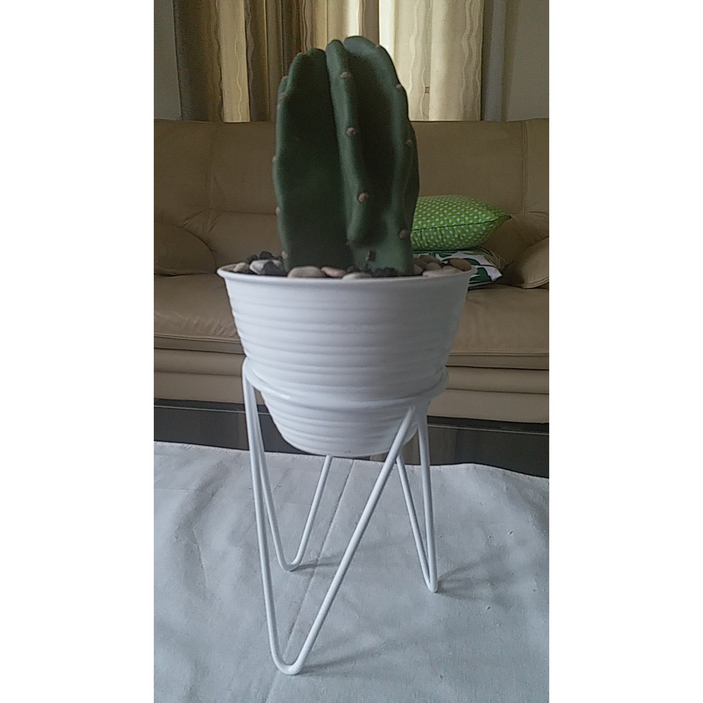 Standing POT MINI Planter / RAK MINI ,POT MINI UK Tinggi 15cm, D10cm