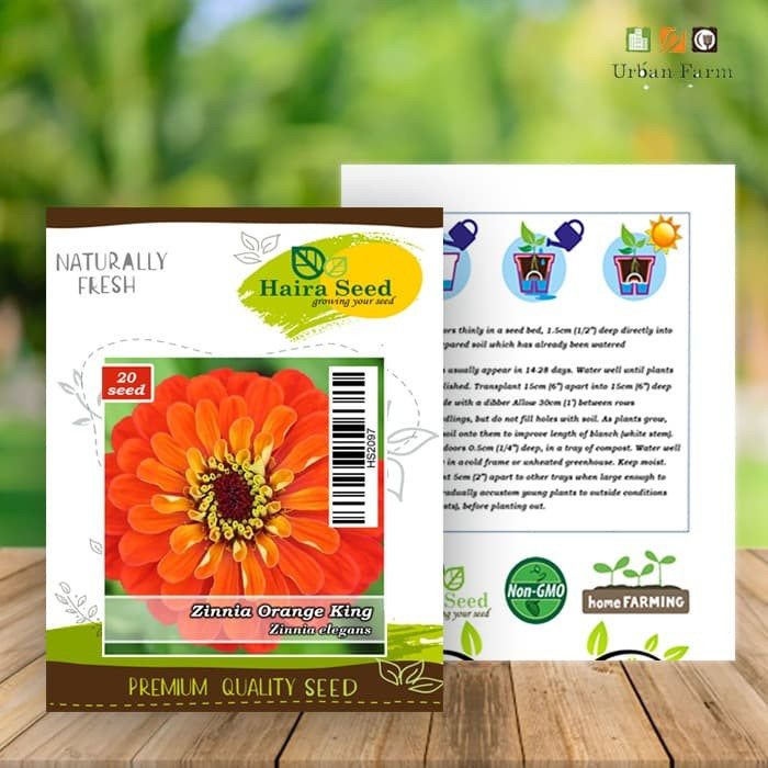 Haira Seed Bibit-BIji Bunga Zinnia Orange King