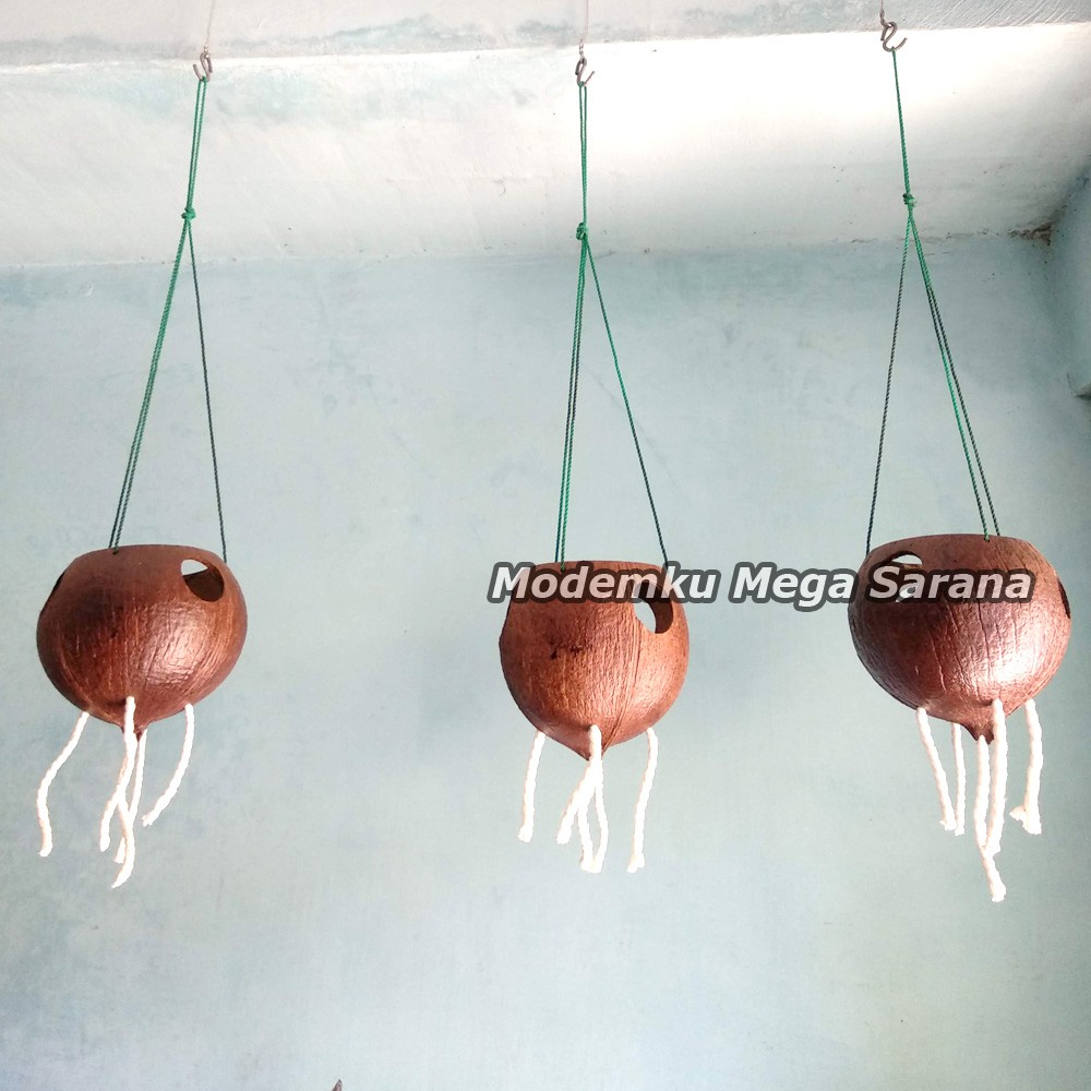 Pot Bunga Gantung Batok Kelapa