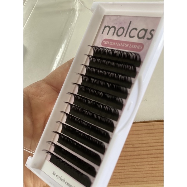 [MPCE] [special edition] MOLCAS ELLIPSE BLACK LASH BULUMATA SAMBUNG EYELASH EXTENSION KOREA