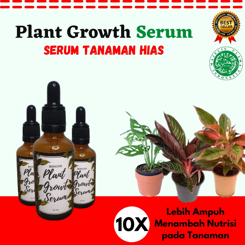 Serum Tanaman Hias Lebih Ampuh dari Albero Aglonema Alami Organik Pupuk Cair Plant Growth Booster Free bubble wrap Pupuk Cair Terbaik