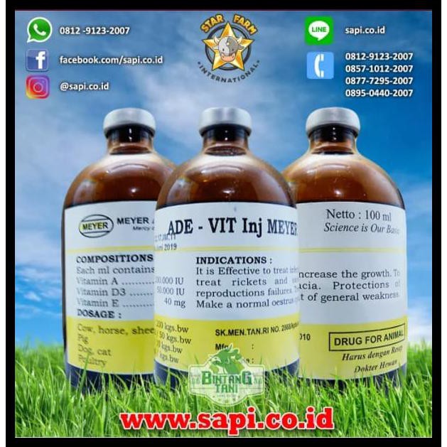 

Produk Unggulan Ade-Vit Inj Meyer